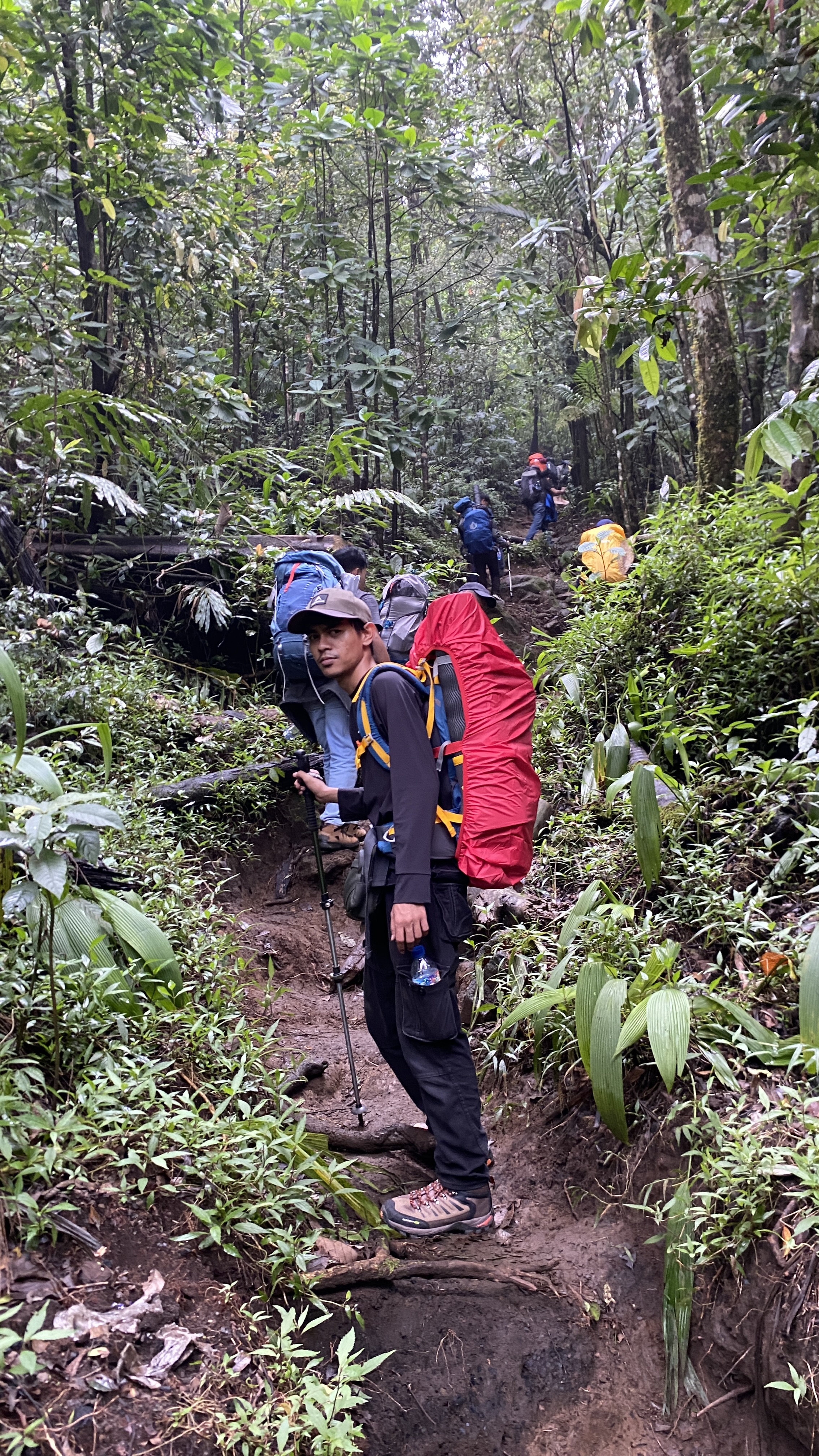 Trek berakar dan berlumpur di tengah hutan Ciremai