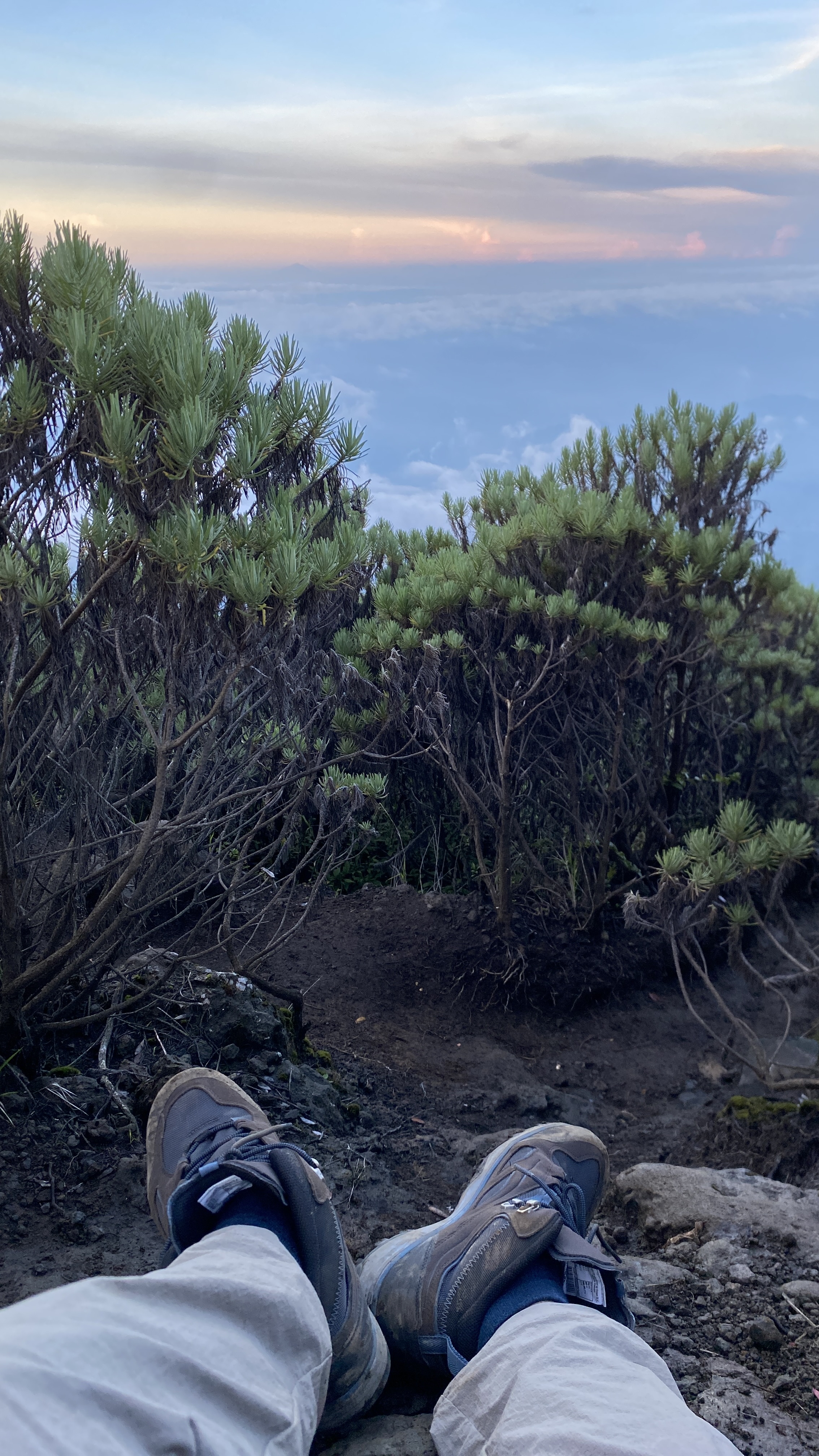 Pemandangan dari igir Ciremai menjelang puncak
