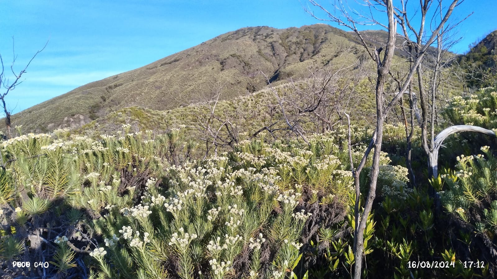 Panduan Pendakian Gunung Ciremai via Jalur Sadarehe